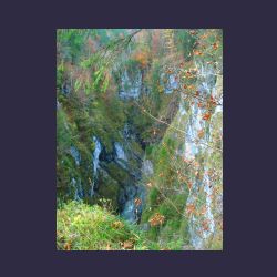 2012-10-20_Fall_AQUILA (340)b.JPG